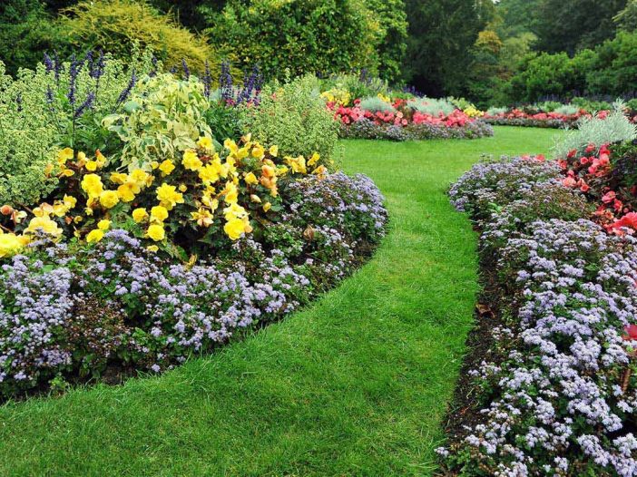 Landscaping and lawn services